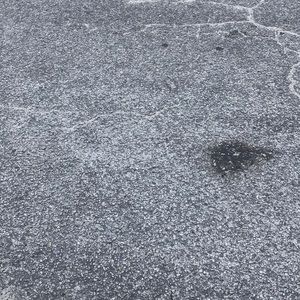 Meet your Posher, Halley